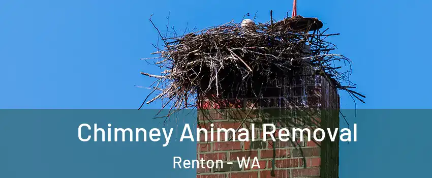  Chimney Animal Removal Renton - WA