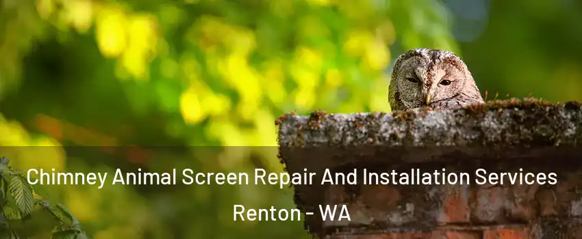  Chimney Animal Screen Repair And Installation Services Renton - WA