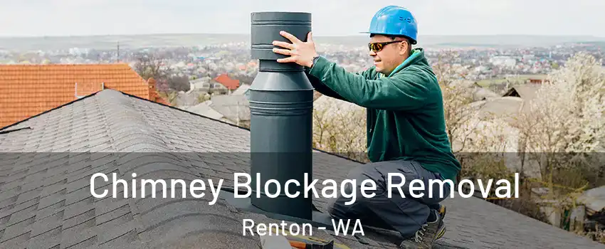 Chimney Blockage Removal Renton - WA