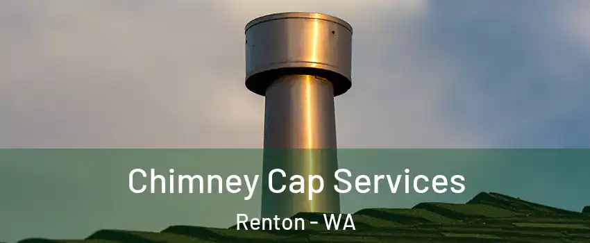  Chimney Cap Services Renton - WA