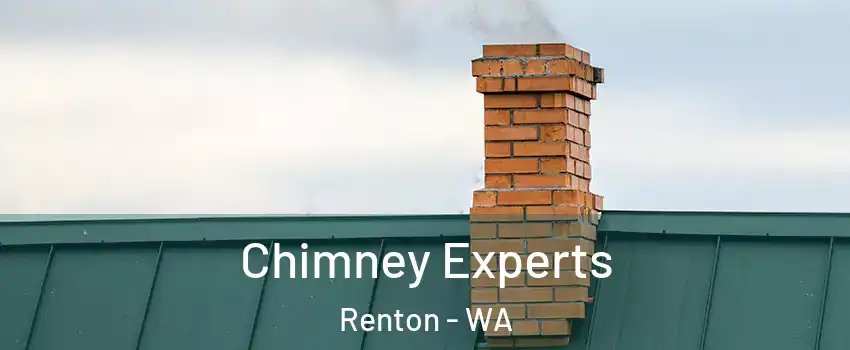  Chimney Experts Renton - WA