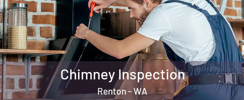  Chimney Inspection Renton - WA