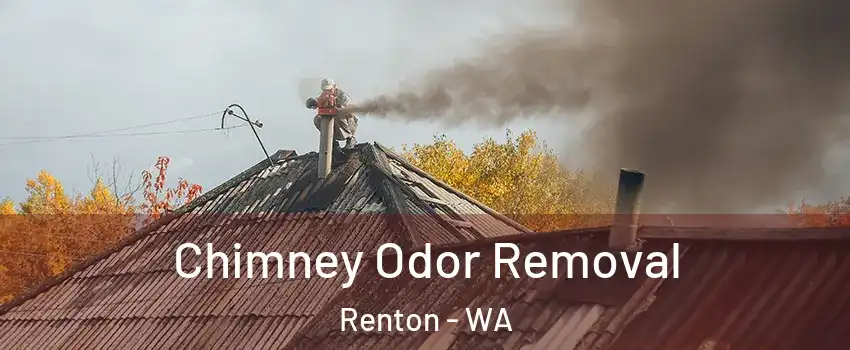  Chimney Odor Removal Renton - WA