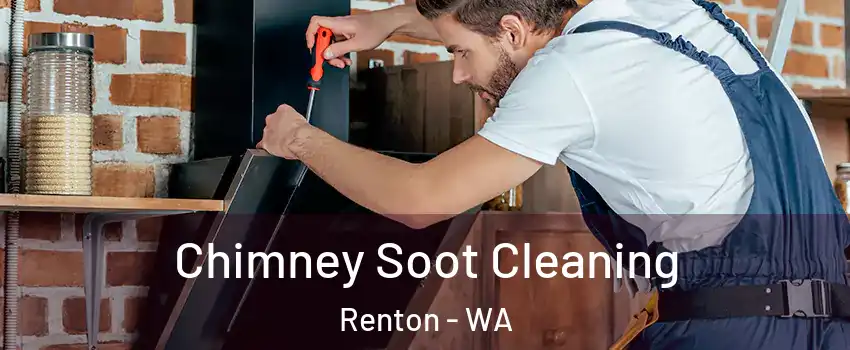  Chimney Soot Cleaning Renton - WA