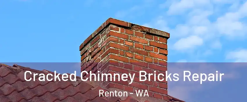  Cracked Chimney Bricks Repair Renton - WA