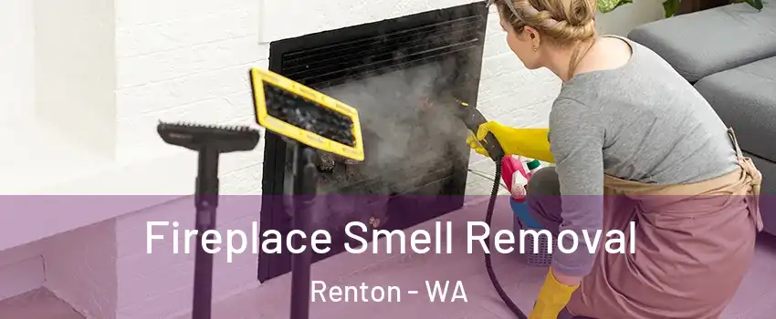  Fireplace Smell Removal Renton - WA