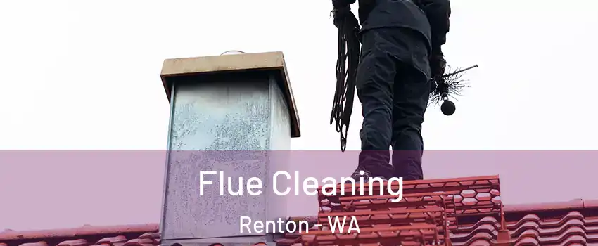 Flue Cleaning Renton - WA