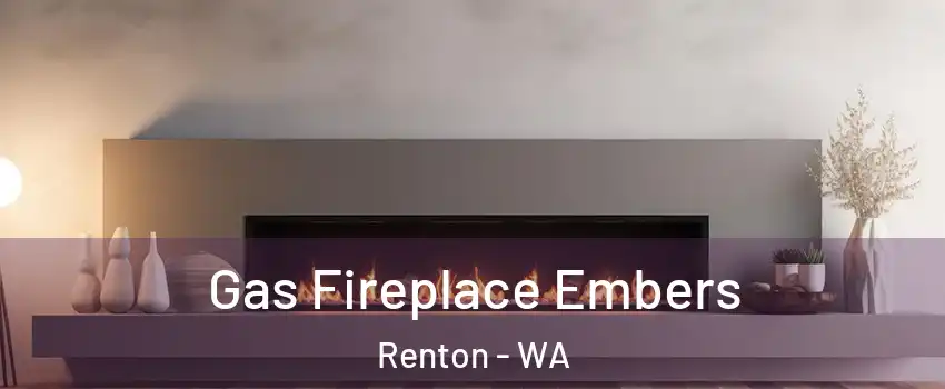  Gas Fireplace Embers Renton - WA