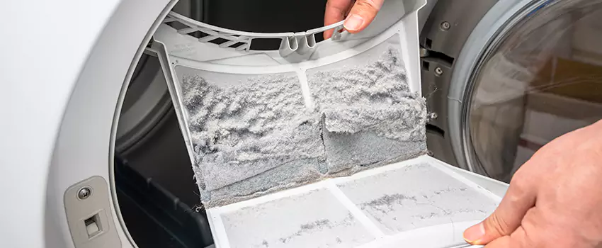 Best Dryer Lint Removal Company in Renton, Washington