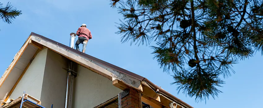 Birds Removal Contractors from Chimney in Renton, WA