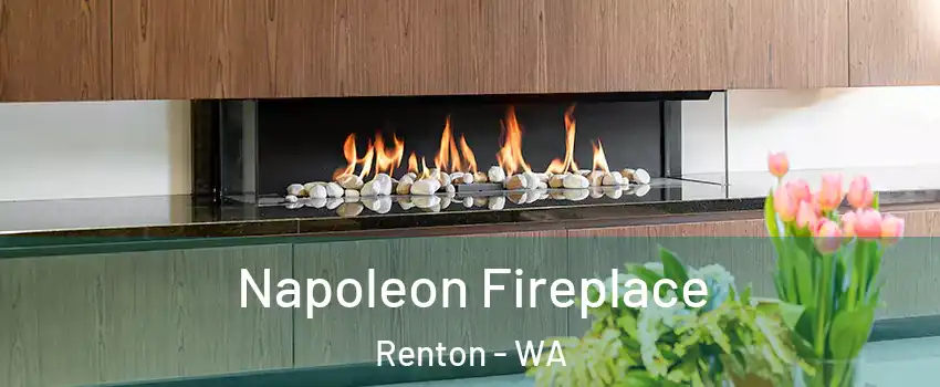  Napoleon Fireplace Renton - WA