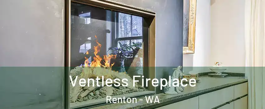  Ventless Fireplace Renton - WA